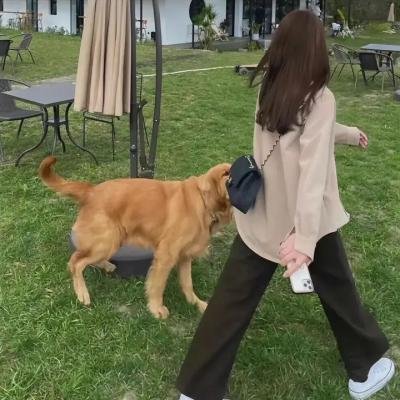 奥林匹亚街区